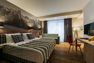 Отель Hotel Szczawnica Park Resort & Spa Шавница Улучшенный двухместный номер с 1 кроватью-1